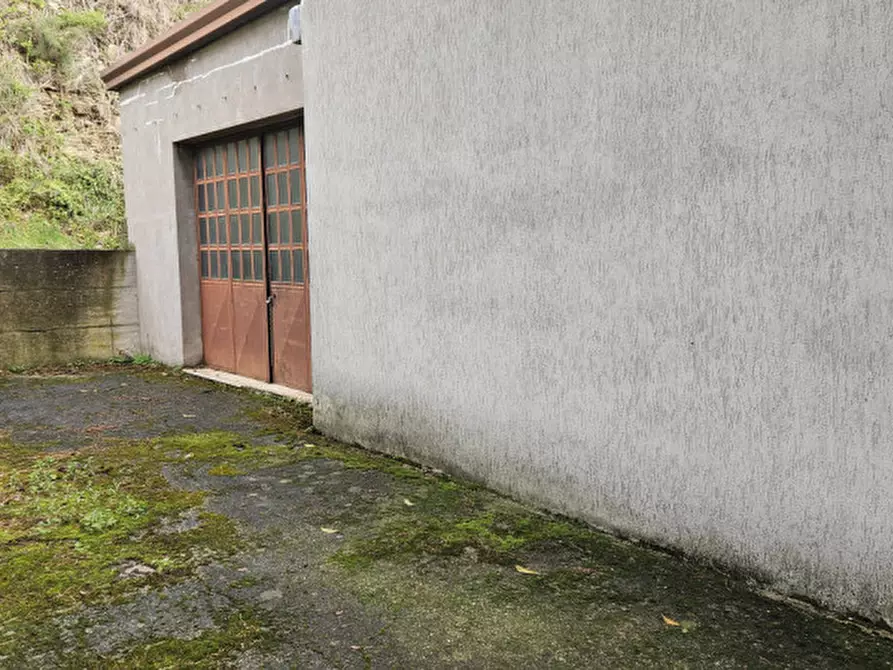 Immagine 11 di Casa indipendente in vendita  in Via Bomba a Cinto Euganeo