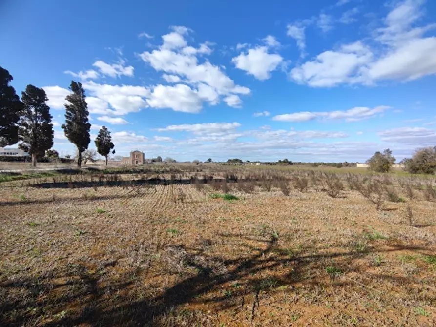Immagine 1 di Terreno in vendita  a Surano