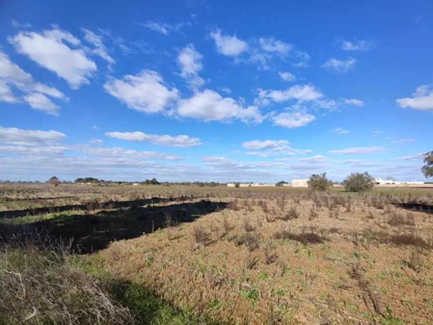 Immagine 2 di Terreno in vendita  a Surano