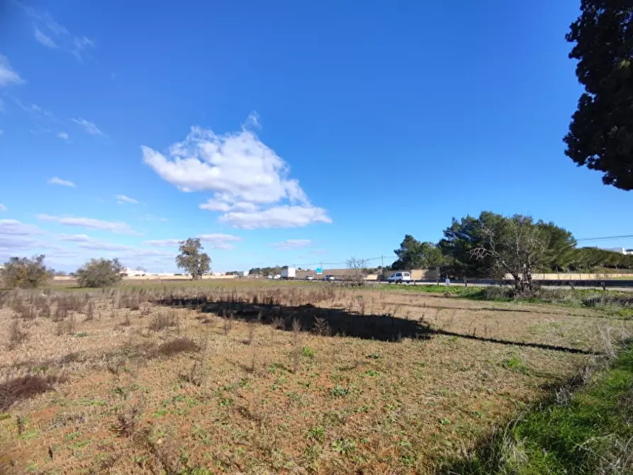 Immagine 3 di Terreno in vendita  a Surano