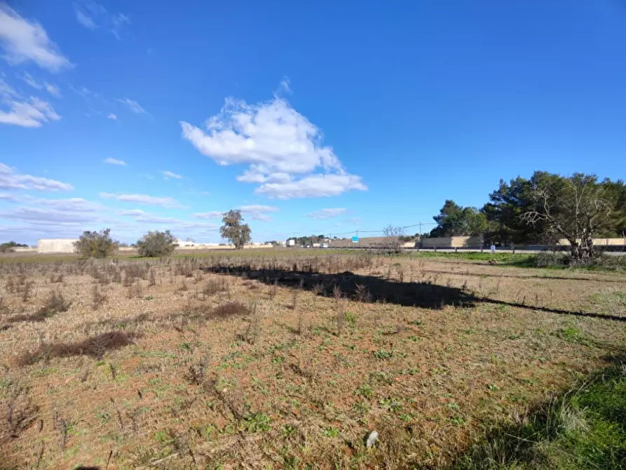 Immagine 4 di Terreno in vendita  a Surano