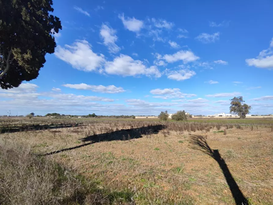 Immagine 5 di Terreno in vendita  a Surano