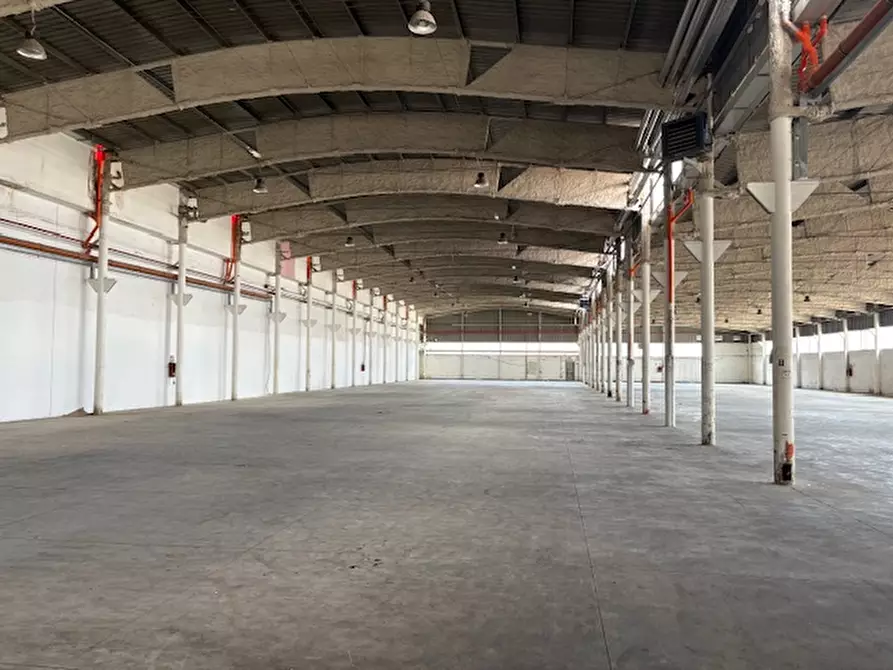 Immagine 6 di Capannone industriale in affitto  in Via Monte D'Oro a Pomezia