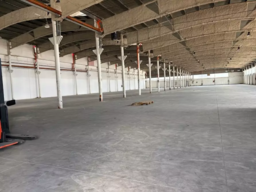 Immagine 8 di Capannone industriale in affitto  in Via Monte D'Oro a Pomezia