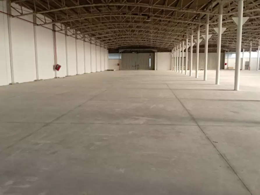 Immagine 16 di Capannone industriale in affitto  in Via Monte D'Oro a Pomezia