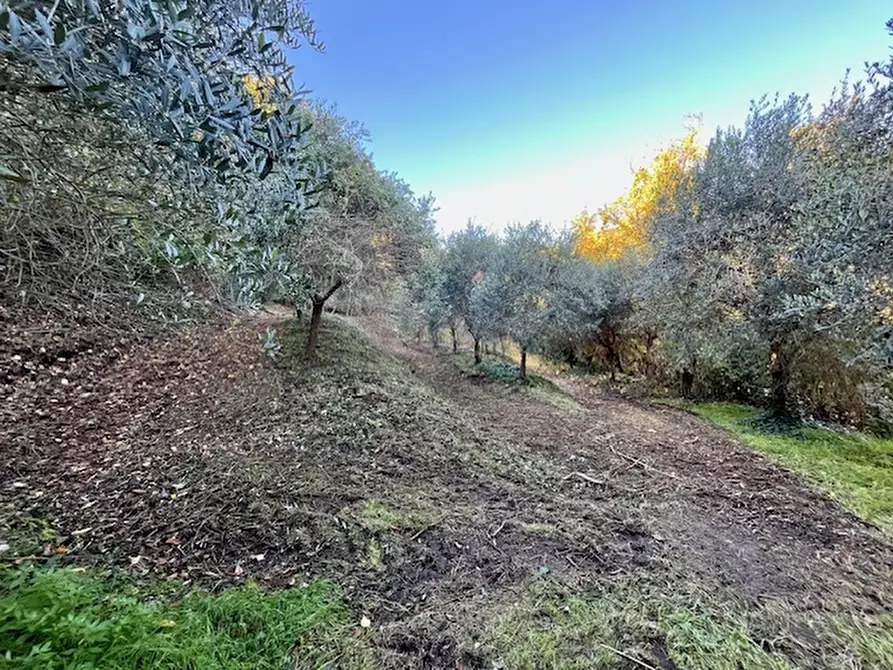 Immagine 34 di Villa in vendita  in Via Regianzane a Galzignano Terme