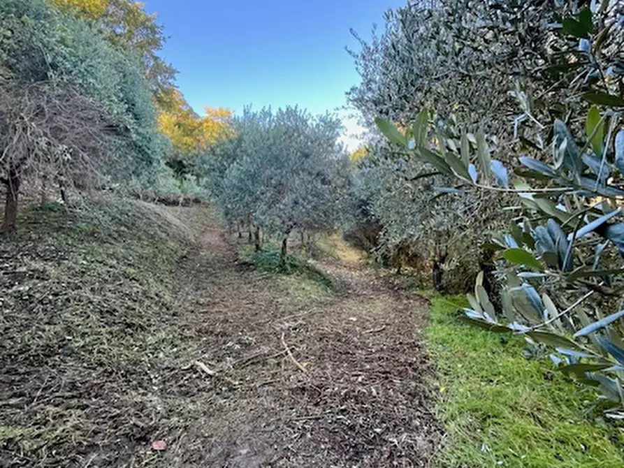 Immagine 35 di Villa in vendita  in Via Regianzane a Galzignano Terme