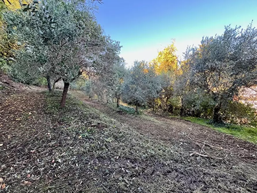 Immagine 37 di Villa in vendita  in Via Regianzane a Galzignano Terme