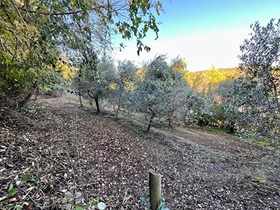 Immagine 38 di Villa in vendita  in Via Regianzane a Galzignano Terme