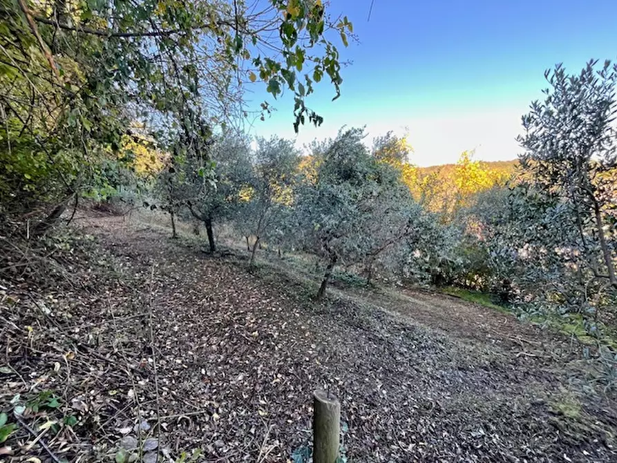 Immagine 39 di Villa in vendita  in Via Regianzane a Galzignano Terme