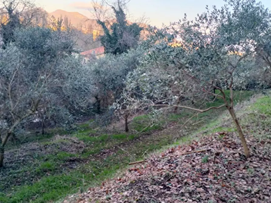 Immagine 43 di Villa in vendita  in Via Regianzane a Galzignano Terme
