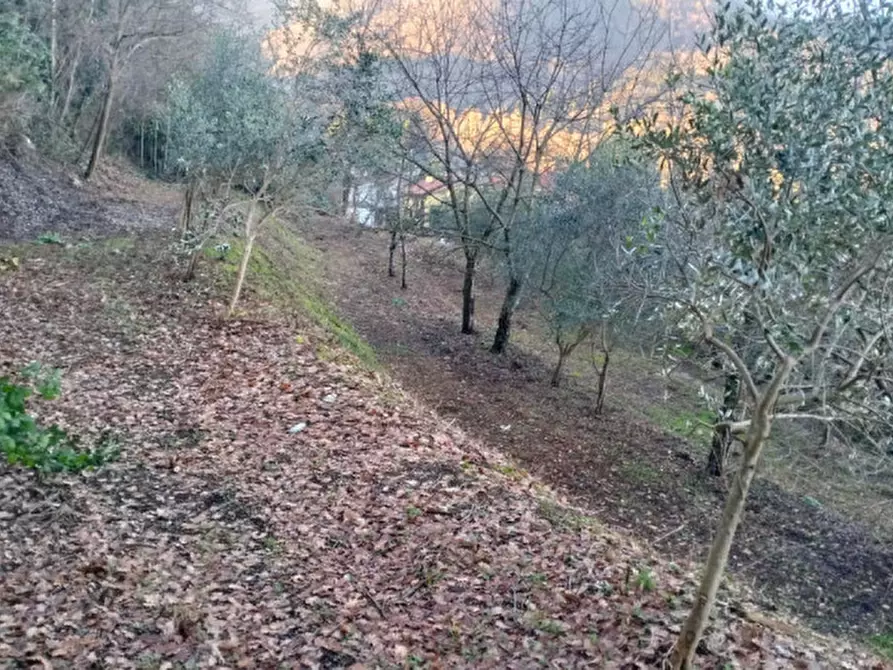 Immagine 44 di Villa in vendita  in Via Regianzane a Galzignano Terme