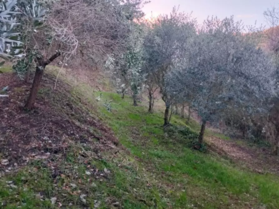 Immagine 45 di Villa in vendita  in Via Regianzane a Galzignano Terme