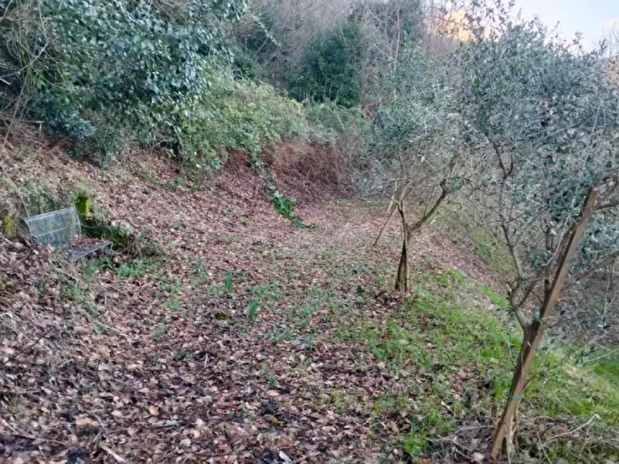 Immagine 46 di Villa in vendita  in Via Regianzane a Galzignano Terme