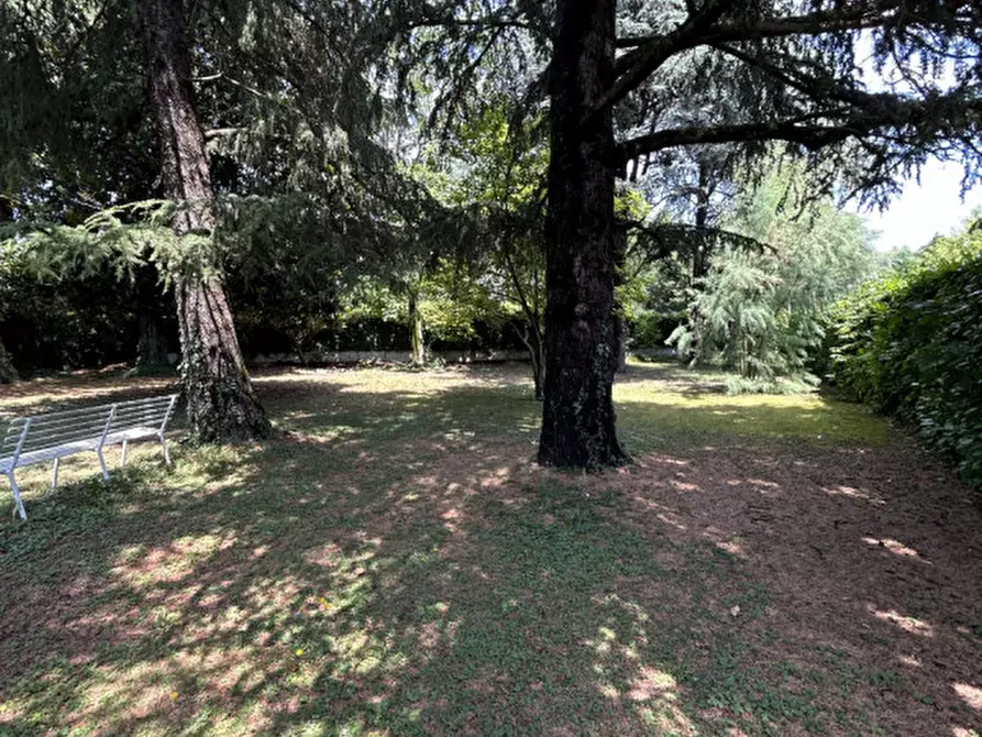 Immagine 8 di Casa indipendente in vendita  in Via P.F. Calvi a Noale