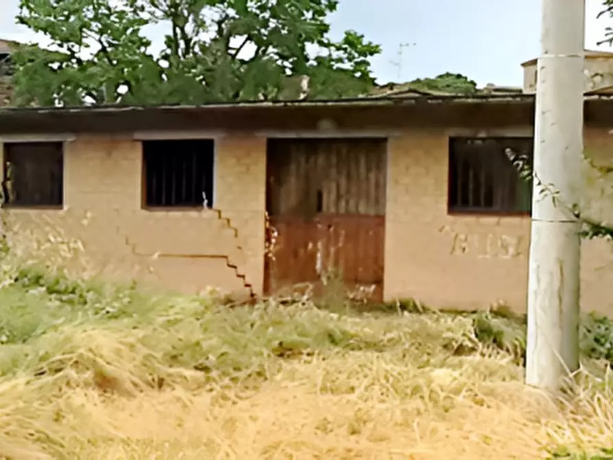 Immagine 3 di Terreno in vendita  in Via Faena 7/A a Fratta Todina