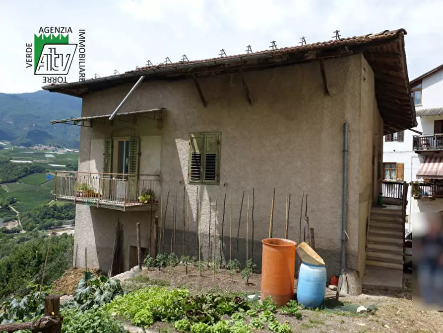 Immagine 2 di Casa indipendente in vendita  in Ton, Masi di Vigo a Ton