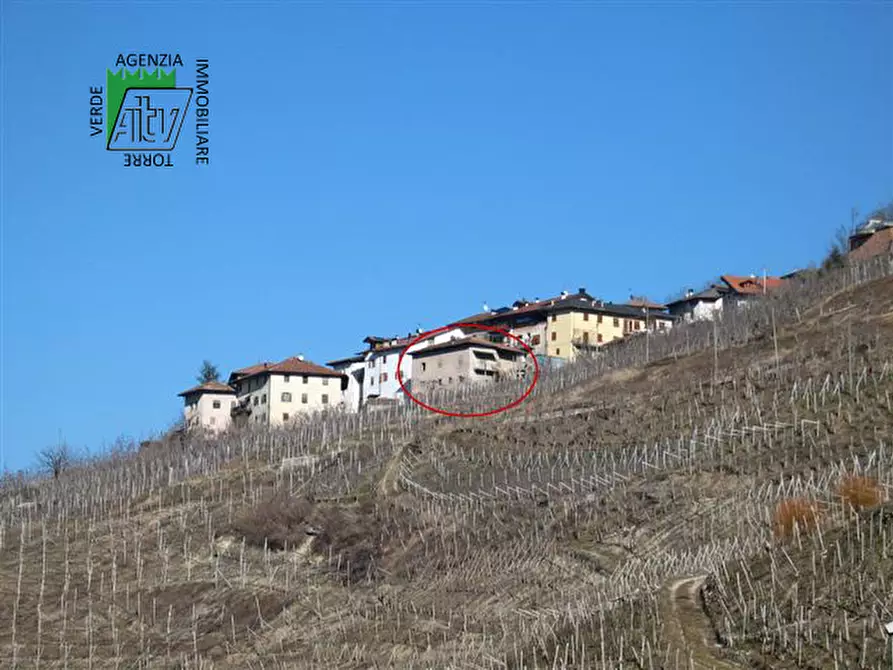 Immagine 5 di Casa indipendente in vendita  in Ton, Masi di Vigo a Ton
