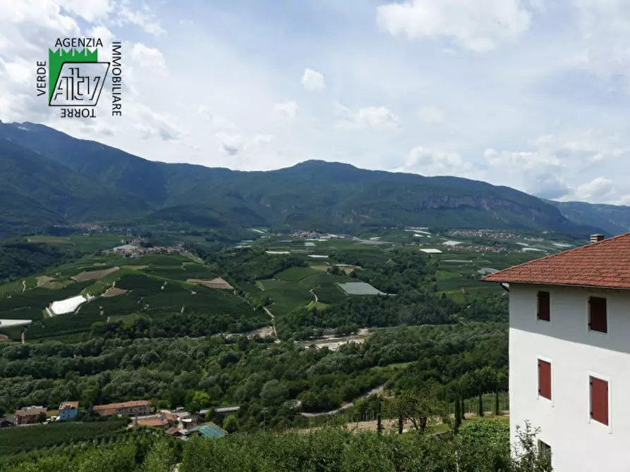 Immagine 8 di Casa indipendente in vendita  in Ton, Masi di Vigo a Ton