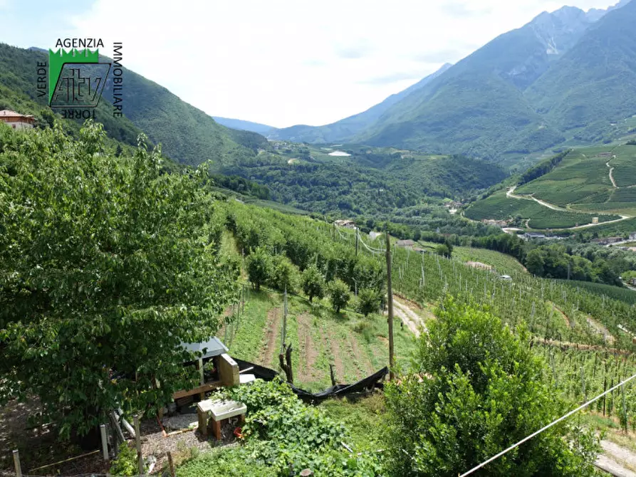 Immagine 9 di Casa indipendente in vendita  in Ton, Masi di Vigo a Ton