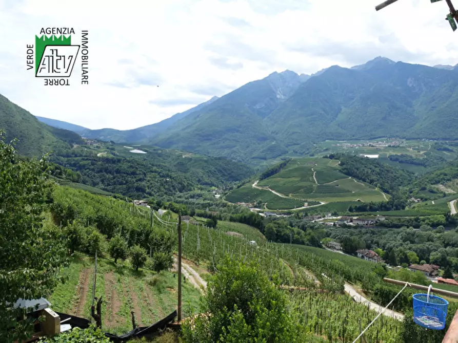 Immagine 10 di Casa indipendente in vendita  in Ton, Masi di Vigo a Ton