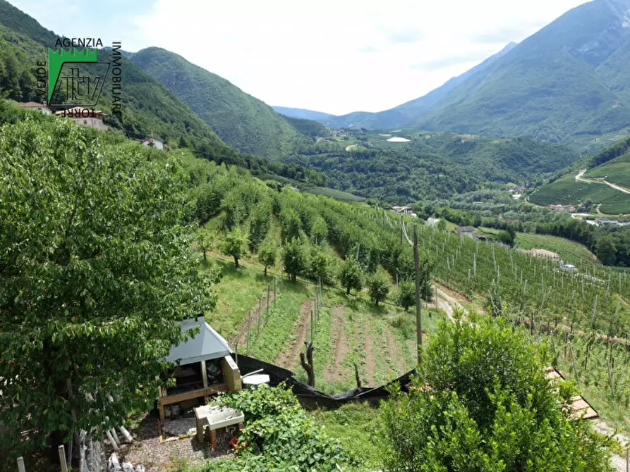 Immagine 11 di Casa indipendente in vendita  in Ton, Masi di Vigo a Ton