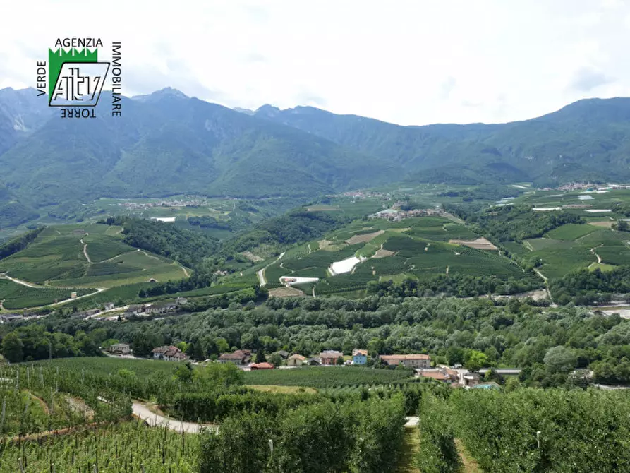 Immagine 12 di Casa indipendente in vendita  in Ton, Masi di Vigo a Ton