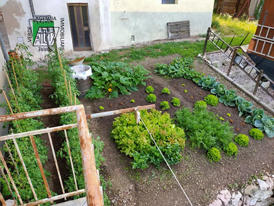 Immagine 13 di Casa indipendente in vendita  in Ton, Masi di Vigo a Ton