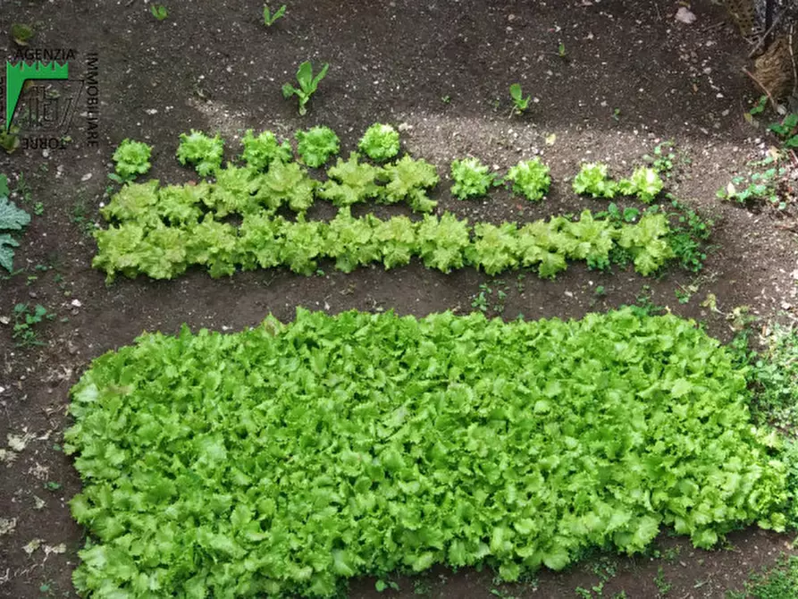 Immagine 14 di Casa indipendente in vendita  in Ton, Masi di Vigo a Ton