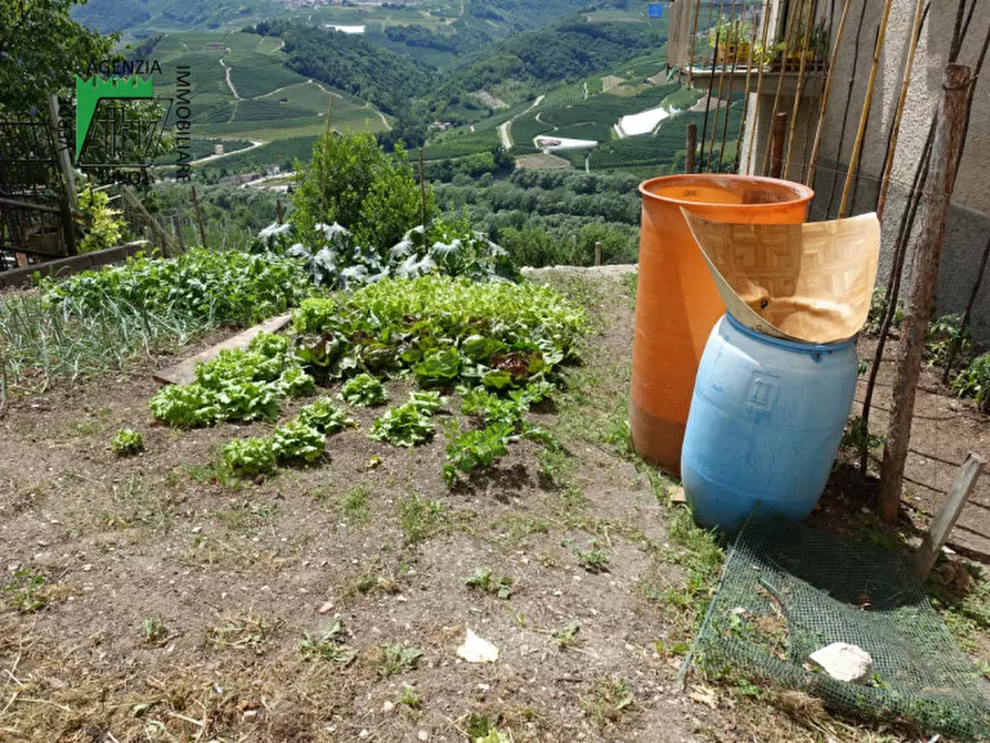 Immagine 18 di Casa indipendente in vendita  in Ton, Masi di Vigo a Ton