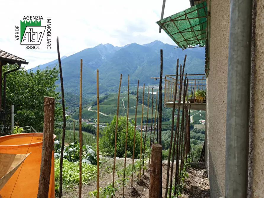 Immagine 32 di Casa indipendente in vendita  in Ton, Masi di Vigo a Ton