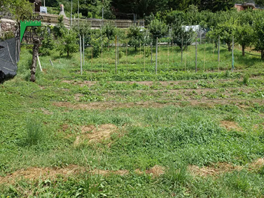 Immagine 54 di Casa indipendente in vendita  in Ton, Masi di Vigo a Ton