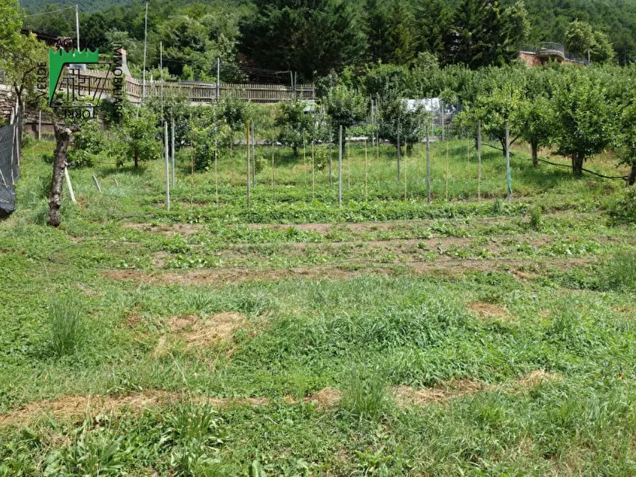 Immagine 55 di Casa indipendente in vendita  in Ton, Masi di Vigo a Ton