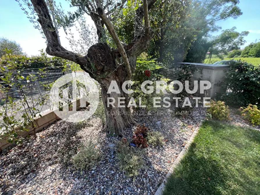 Immagine 13 di Camera in affitto  in Via Lorenzo Vincenzo Dell'Orto a Saronno