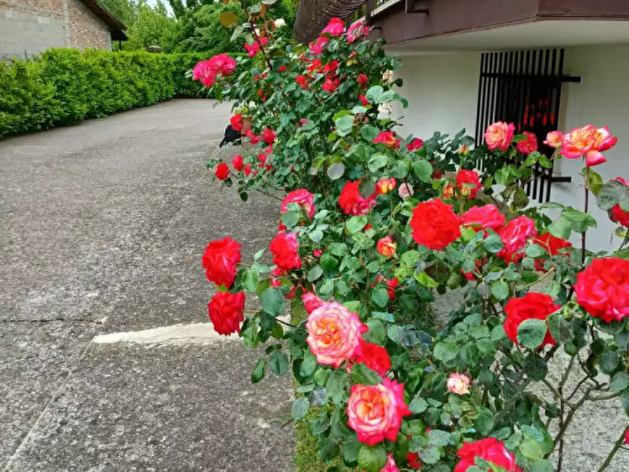 Immagine 2 di Villa in vendita  a Dolo