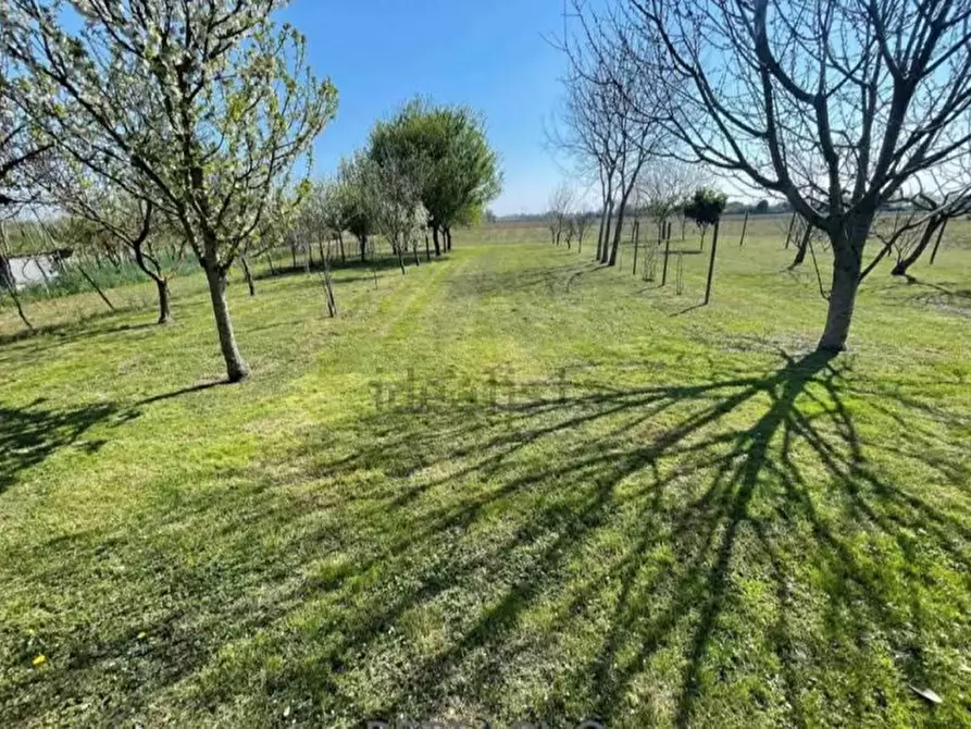 Immagine 3 di Villa in vendita  a Dolo