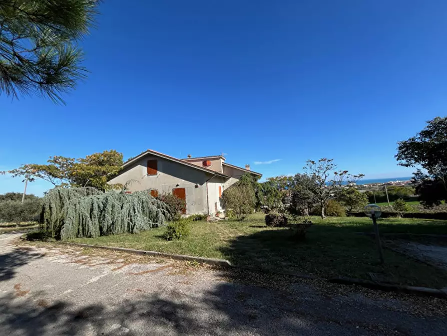 Immagine 4 di Casa indipendente in vendita  a Senigallia