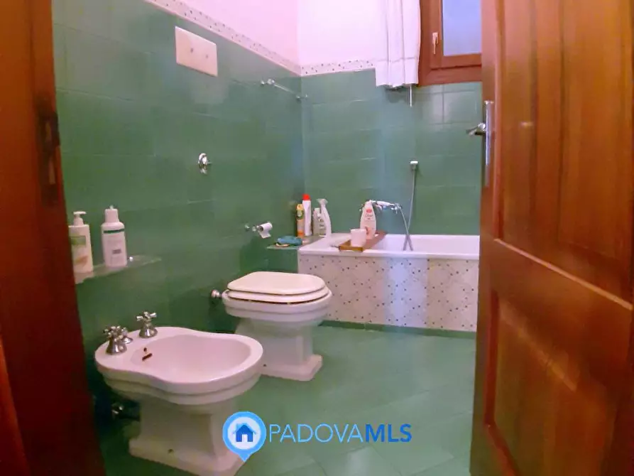 Immagine 11 di Casa indipendente in vendita  in Via Trento e Trieste a Monselice