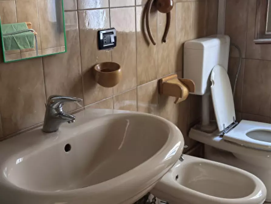 Immagine 9 di Appartamento in affitto  a Solesino