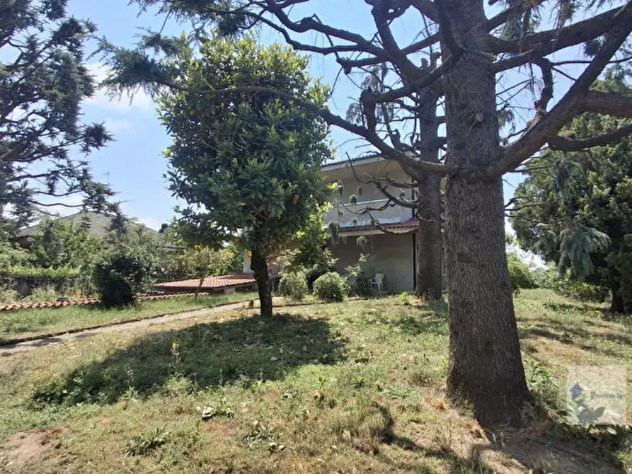 Immagine 1 di Villa in vendita  in Via Giotto a Castano Primo