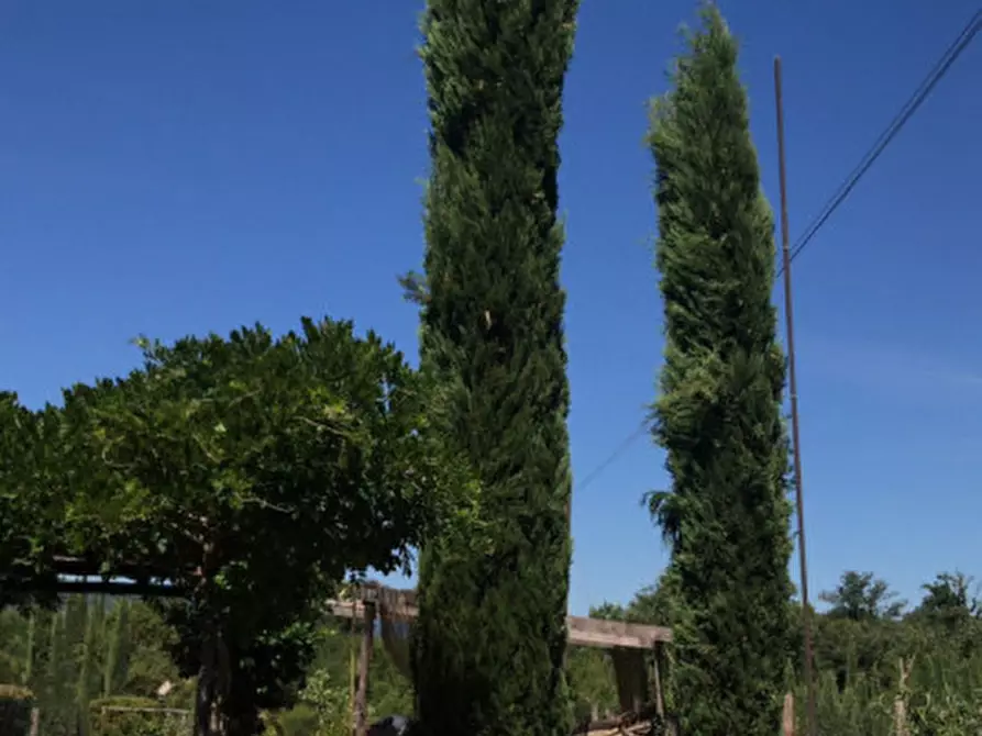 Immagine 1 di Villa in vendita  in Bucine a Bucine