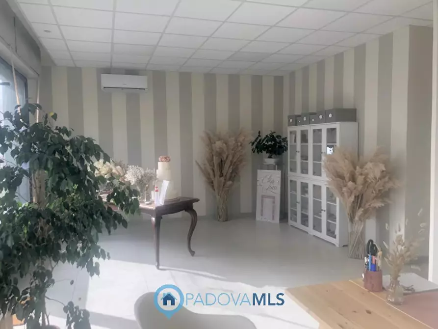 Immagine 1 di Negozio in vendita  in Via dei Vivarini a Padova