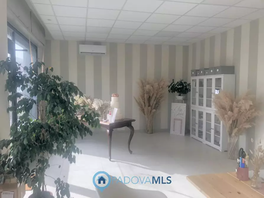 Immagine 2 di Negozio in vendita  in Via dei Vivarini a Padova