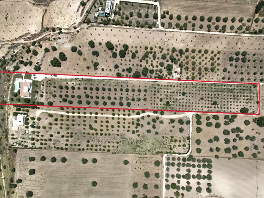 Immagine 14 di Villa in vendita  in contrada belliscala a Noto