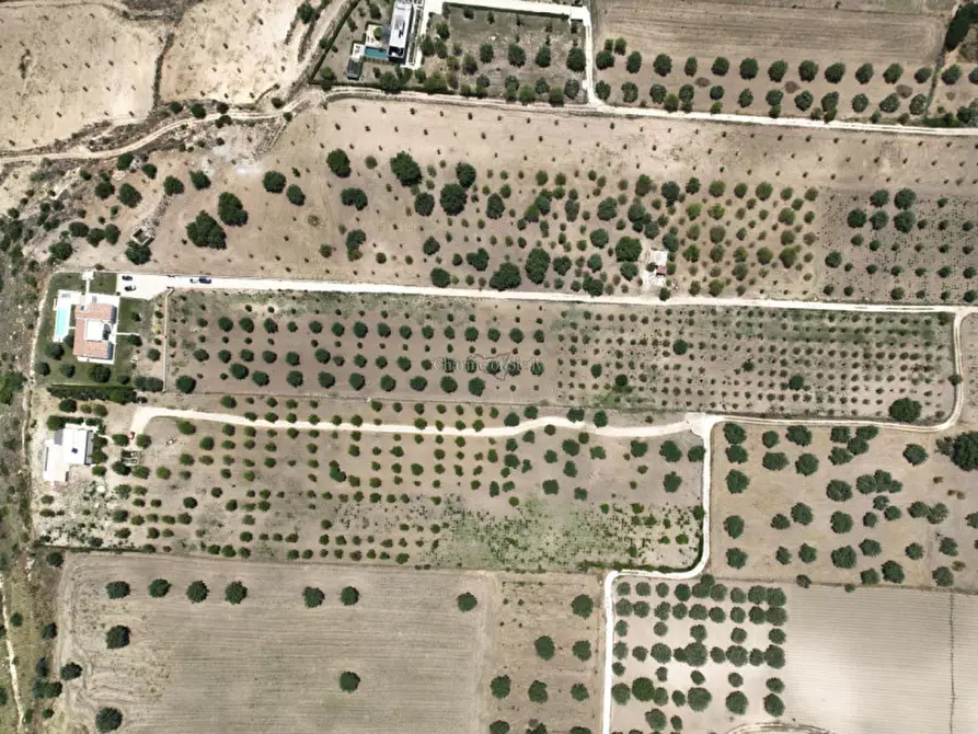 Immagine 15 di Villa in vendita  in contrada belliscala a Noto