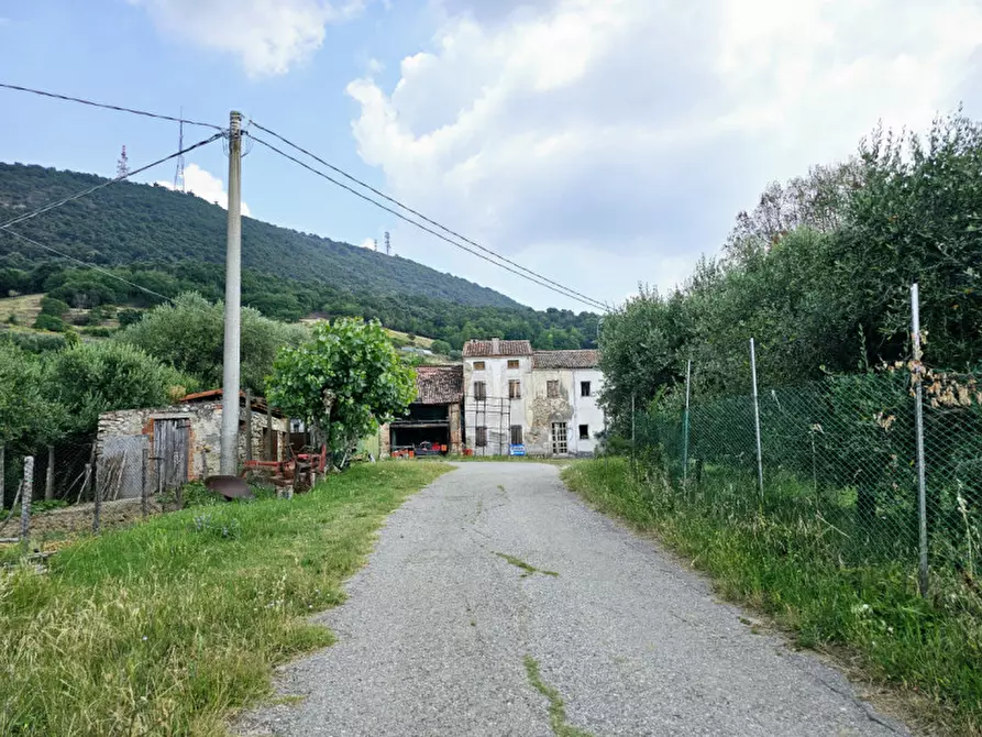 Immagine 4 di Terreno in vendita  in VIA FORESTANA a Cinto Euganeo