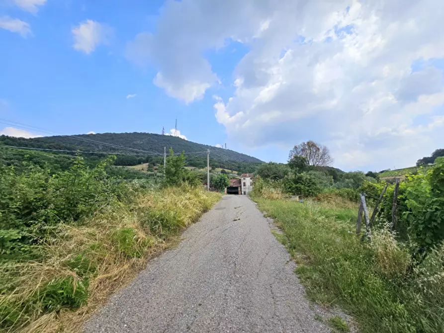 Immagine 5 di Terreno in vendita  in VIA FORESTANA a Cinto Euganeo