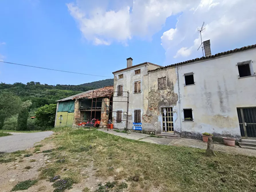 Immagine 12 di Terreno in vendita  in VIA FORESTANA a Cinto Euganeo