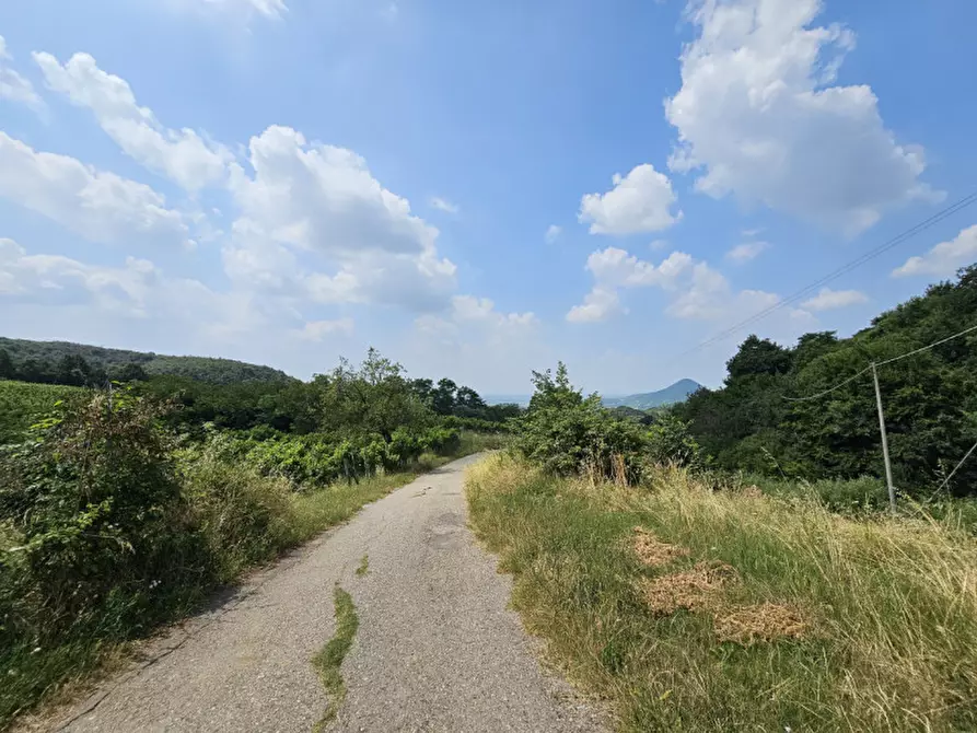 Immagine 14 di Terreno in vendita  in VIA FORESTANA a Cinto Euganeo