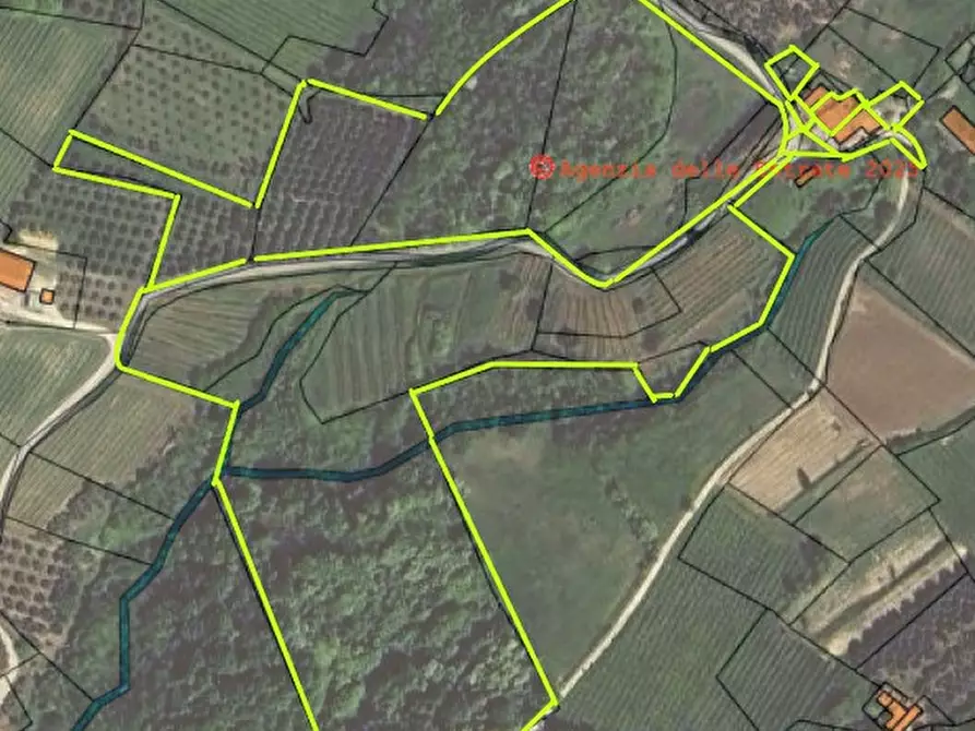 Immagine 15 di Terreno in vendita  in VIA FORESTANA a Cinto Euganeo